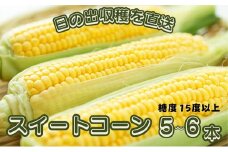 スイートコーン おおもの 5～6本