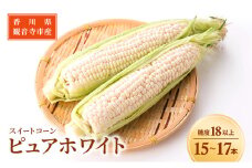 《糖度18度以上》スイートコーン とうもろこし ピュアホワイト 15～17本 ※お届け：2025年6月中旬～7月上旬 野菜	