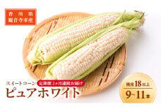 《糖度18度以上》スイートコーン とうもろこし ピュアホワイト【2ヶ月連続お届け】9～11本入×2回 ※お届け：2025年6月中旬～7月上旬 野菜	