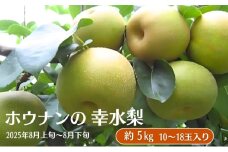 ホウナンの梨（幸水梨）約5kg 果物 フルーツ ナシ 先行予約 