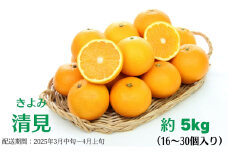 清見　約5kg