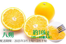 八朔　約10kg
