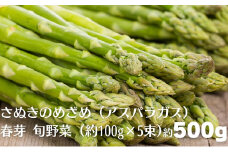 さぬきのめざめ（アスパラガス）春芽 旬野菜 約500g（約100g×5束）