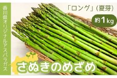 香川県オリジナルアスパラガス「さぬきのめざめロング」(夏芽) 野菜 野菜セット 