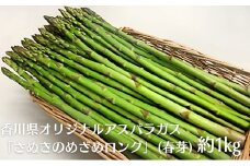香川県オリジナルアスパラガス「さぬきのめざめロング」(春芽)約１kg