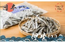 いりこの産地から！伊吹いりこ 大羽 750g（250g×3袋）