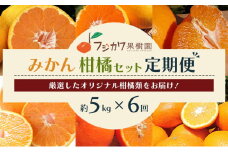 【6回定期便】フジカワ果樹園オリジナル・新季節の柑橘セット