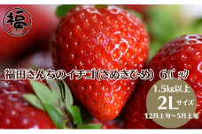 福田さんちのイチゴ(さぬきひめ) 2L サイズ ×6パック1.5kg以上【配送不可：北海道、沖縄、離島エリア】苺 農園直送 いちご採れたて直送