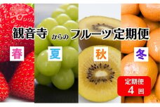 【2025年受付】 観音寺市からの特産フルーツ 定期便 年間4回