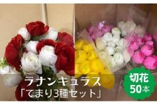 ラナンキュラス「てまり3種セット」切花50本