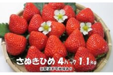 上品でかわいい “ いちご ”【 さぬきひめ　1.1kg】 観音寺市産 【配送不可地域：沖縄・北海道・離島】