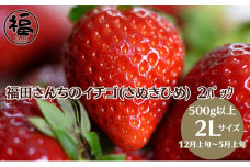 福田さんちのイチゴ(さぬきひめ) 2Lサイズ×2パック 500g以上【配送不可：北海道、沖縄県、離島エリア】苺 農園直送 いちご採れたて直送