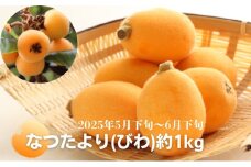 なつたより（びわ）約1kg さぬき産フルーツ 果物類 枇杷 