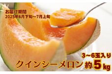 クインシー メロン（赤肉）約5kg