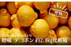 貯蔵 デコポン 約2.8kg化粧箱 果物類 みかん 柑橘類 