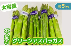 不揃い グリーン アスパラガス 約5kg 野菜 グリーンアスパラガス 