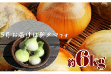 観音寺産 採れたての たまねぎ　約6kg