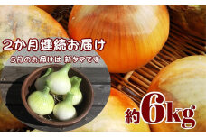 観音寺産 採れたての たまねぎ　約6kg（2ヵ月連続お届け）