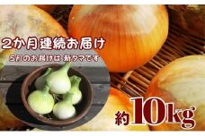 観音寺産採れたての たまねぎ　約10kg（2ヵ月連続お届け）