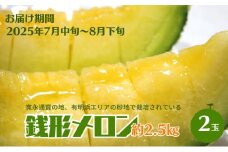 銭形メロン 2玉 化粧箱入り 約2.5kg　［アールスメロン］ 果物類 フルーツ