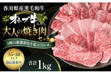 オリーブ牛 大人の BBQ セット1kg【配送不可：離島】