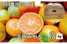 2025年秋よりお届け 農園直送 フジカワ果樹園栽培の 温州みかん 約3kg 果物類 柑橘類 ミカン フルーツ 