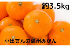小出さんの温州 みかん 約3.5kg