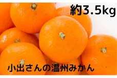 小出さんの温州 みかん 約3.5kg 果物類 柑橘類 フルーツ 