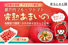井下とまと園の完熟フルーツトマト 約1kg