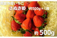 数量限定　観音寺産いちご（さぬき姫）バラ詰め約500g×1箱