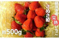 数量限定　苺狩りの食味をお届け！観音寺産完熟いちご（さぬき姫）約500g