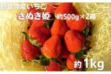 数量限定　観音寺産いちご（さぬき姫）バラ詰め約1kg（約500g×2箱）