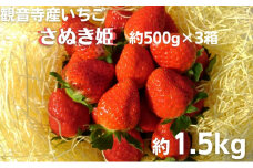 数量限定　観音寺産いちご（さぬき姫）バラ詰め約1.5kg（約500g×3箱）