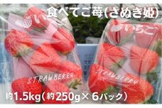 食べてご苺（さぬき姫）約1.5kg（約250g×6パック）