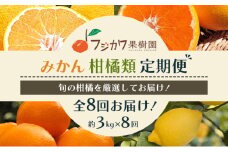 頒布会 彩り柑橘 8回定期便