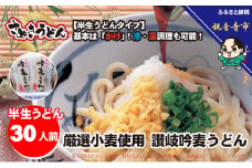 「さぬき半生」 讃岐吟麦うどん 30人前 300g×10袋