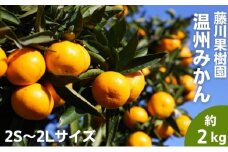 2025年秋よりお届け フジカワ温州みかん 約2kg 果物 柑橘 フルーツ おやつ 間食 デザート 食後 極早生 早生 甘い 食べきりサイズ 冬 秋 