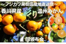【7回頒布会】～フジカワ果樹園産地直送便～香川県産・彩り温州みかんセット