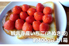 数量限定　観音寺産いちご(さぬき姫)400g以上×1箱 讃岐の美味しい苺 イチゴ 果物類 フルーツ 