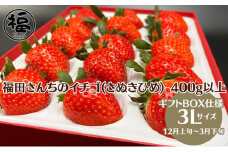 福田さんちのイチゴ(さぬきひめ) 3L サイズ 400g以上 ギフトボックス１箱【配送不可：北海道・沖縄県・離島エリア】苺 農園直送 いちご採れたて直送 果物類 