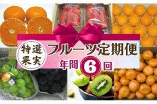 【2025年受付】 観音寺市からの特産フルーツ 定期便 年間6回