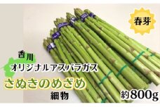 香川オリジナルアスパラガス「さぬきのめざめ春芽」細物　約800g