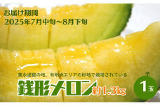 銭形メロン（アールス）1玉　約1.3kg 化粧箱入り フルーツ 果物 青肉メロン 産地直送 旬のフルーツ 香川県産 予約受付