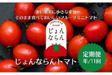 モリヒロ園芸が育てたじょんならんトマトの定期便（年間11回）