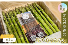 [№5850-1167]香川県産アスパラガス「さぬきのめざめ」Lサイズ　約1kg