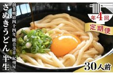【年4回定期便】さぬきうどん 半生 30人前 