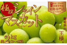 【2025年先行予約 極撰】シャインマスカット　約2kg（3～5房） 果物 ぶどう フルーツ デザート 食後 国産 日本産 産地直送 ジューシー 種なし 観音寺産 