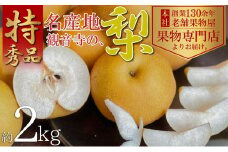 【2025年先行予約】特秀品！観音寺の梨（豊水・南水）約2kg 果物 フルーツ デザート おやつ 食後 国産 日本産 産地直送 みずみずしい シャキシャキ