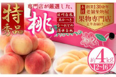 【2025年先行予約】特秀品！桃　約4kg（12～16玉）