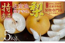 【2025年先行予約】特秀品！観音寺の梨（豊水・南水）約5kg 果物 フルーツ デザート おやつ 食後 国産 日本産 産地直送 みずみずしい シャキシャキ